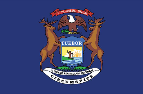 michigan state flag