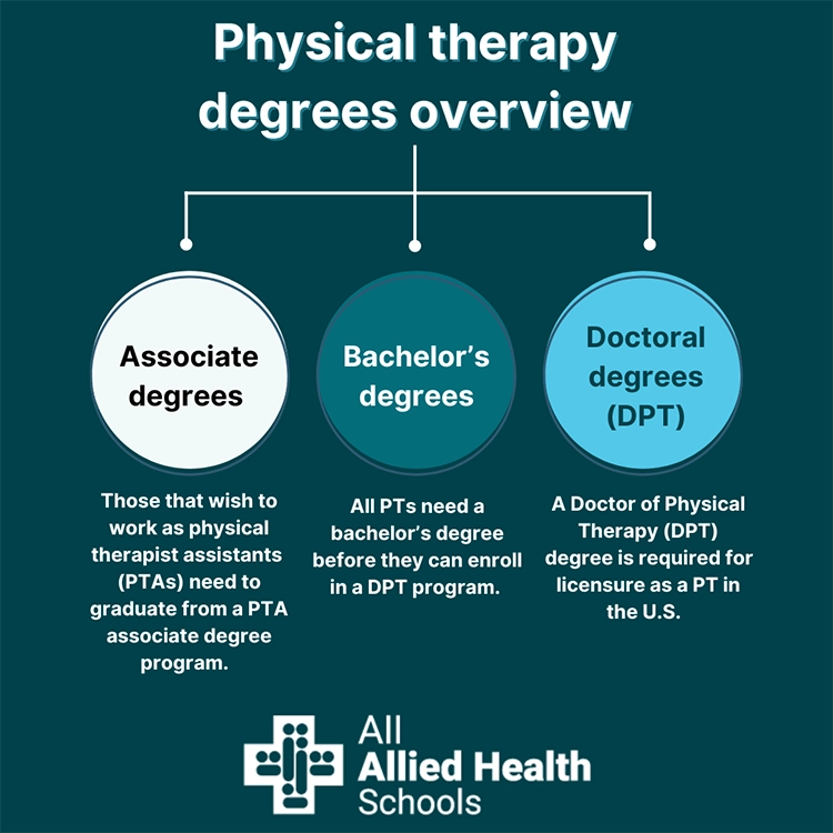 An infographic describing the different types f physical therapy degrees